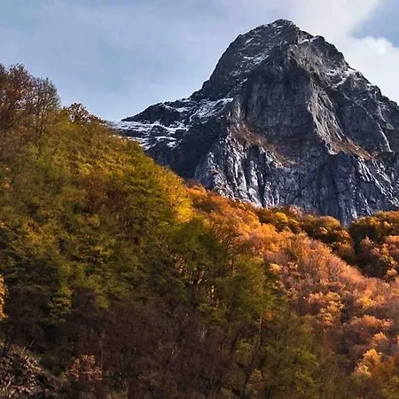 Prázdninový dům Gaia Camaiore